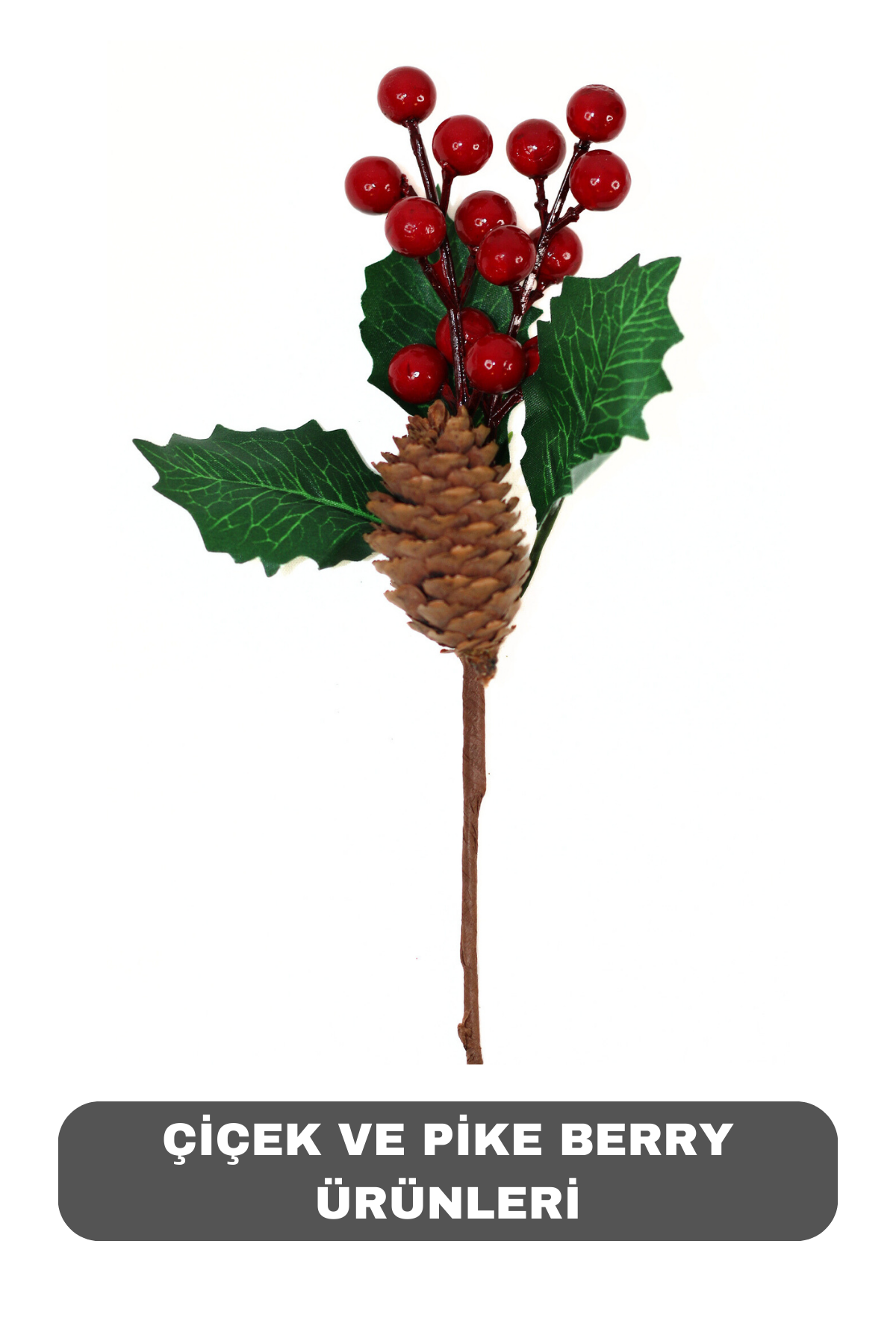 Yılbaşı Ponsetya çiçek ve Pike Berry Ürünleri