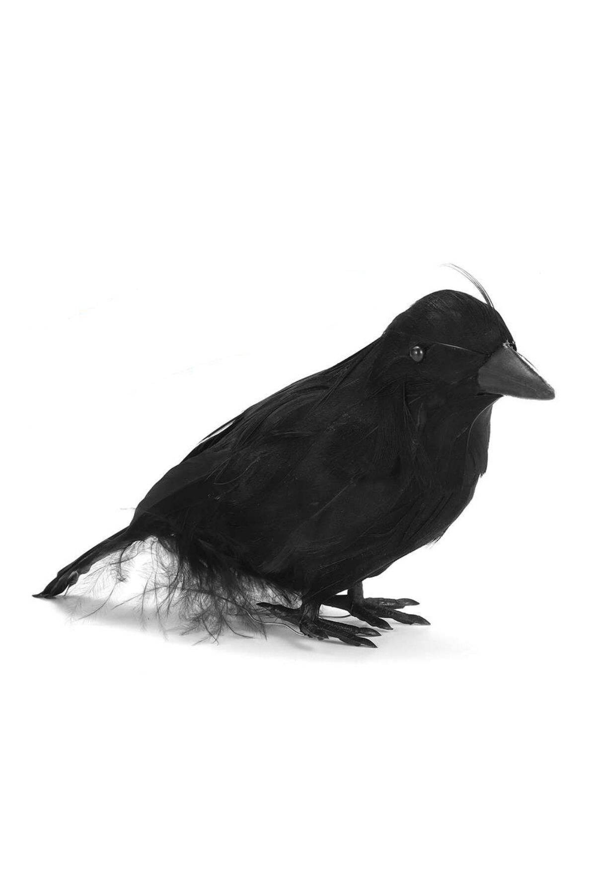 Halloween Figürler ve Süsler